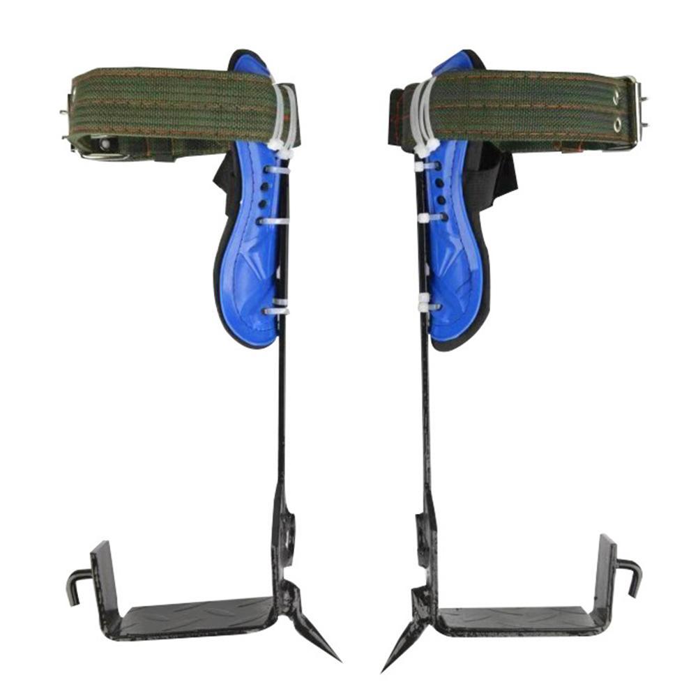 Conquer the Canopy: Ultimate Tree Climbing Gear