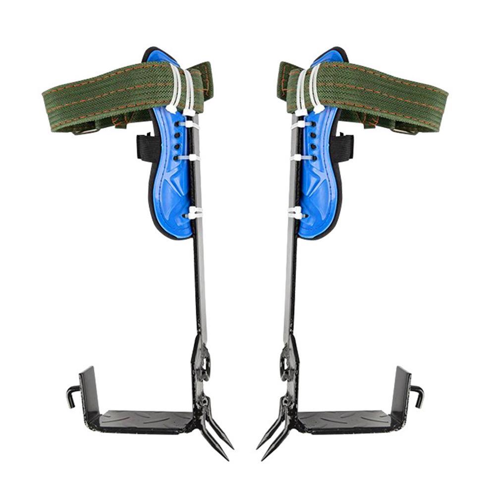 Conquer the Canopy: Ultimate Tree Climbing Gear