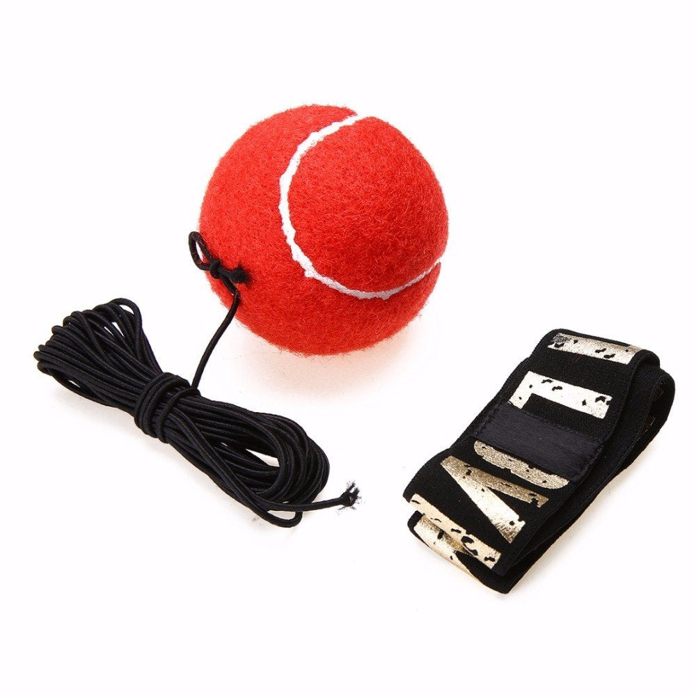 Unleash Your Reflexes: Speed Punch Ball Workout