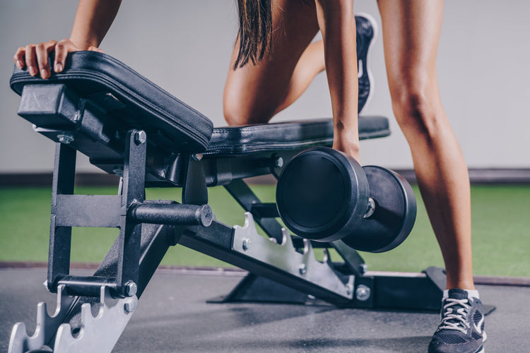Fitness & Health