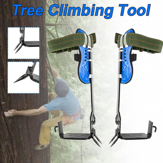 Conquer the Canopy: Ultimate Tree Climbing Gear